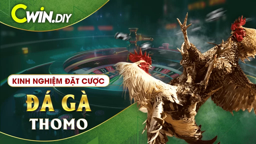 Kinh nghiệm đặt cược đá gà Thomo